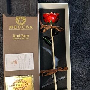 Medusa 24K Gold Dipped Red Rose